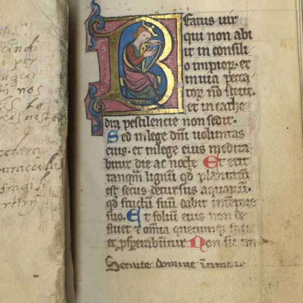 Les Enluminures